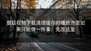 蘑菇视频下载清理缓存时播放进度如果只能做一件事：先改这里