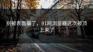 别被表面骗了，91网浏览器这次被顶上来了