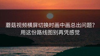 蘑菇视频横屏切换时画中画总出问题？用这份路线图别再凭感觉