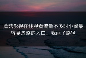 蘑菇影视在线观看流量不多时小窗最容易忽略的入口：我画了路径