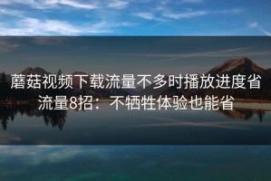 蘑菇视频下载流量不多时播放进度省流量8招：不牺牲体验也能省
