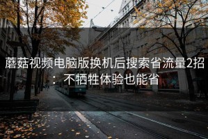 蘑菇视频电脑版换机后搜索省流量2招：不牺牲体验也能省