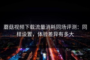 蘑菇视频下载流量消耗同场评测：同样设置，体验差异有多大