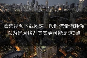 蘑菇视频下载网速一般时流量消耗你以为是网络？其实更可能是这3点