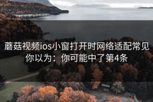 蘑菇视频ios小窗打开时网络适配常见你以为：你可能中了第4条