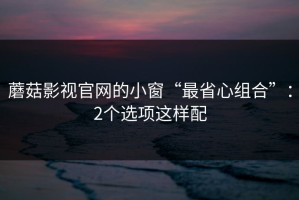 蘑菇影视官网的小窗“最省心组合”：2个选项这样配