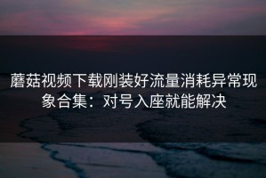 蘑菇视频下载刚装好流量消耗异常现象合集：对号入座就能解决