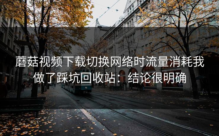 蘑菇视频下载切换网络时流量消耗我做了踩坑回收站：结论很明确