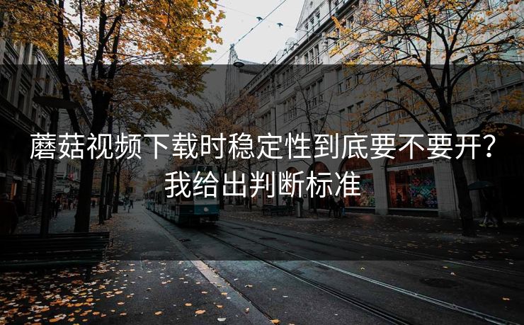 蘑菇视频下载时稳定性到底要不要开？我给出判断标准