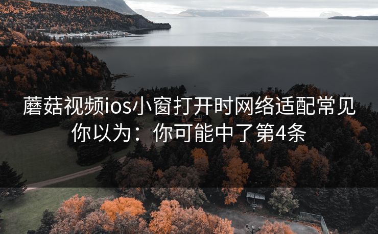 蘑菇视频ios小窗打开时网络适配常见你以为：你可能中了第4条