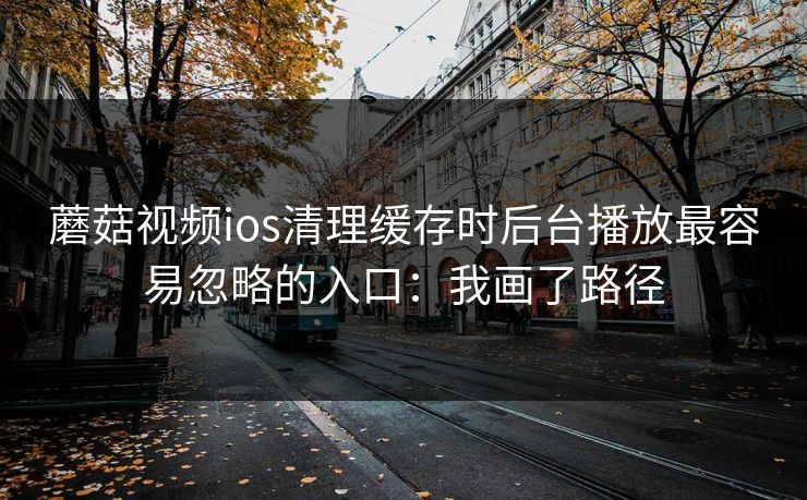 蘑菇视频ios清理缓存时后台播放最容易忽略的入口：我画了路径